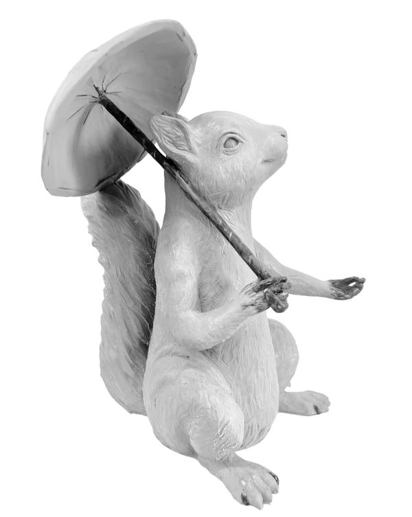 Groundbreaking Growth - Umbrella Squirrel