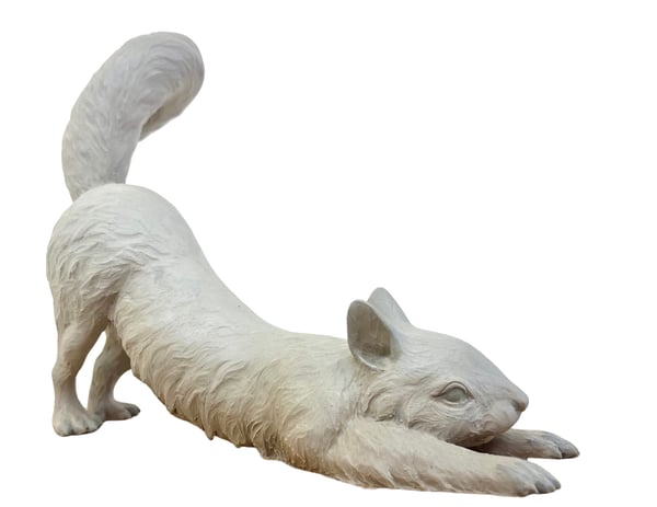 Groundbreaking Growth - Yoga Squirrel